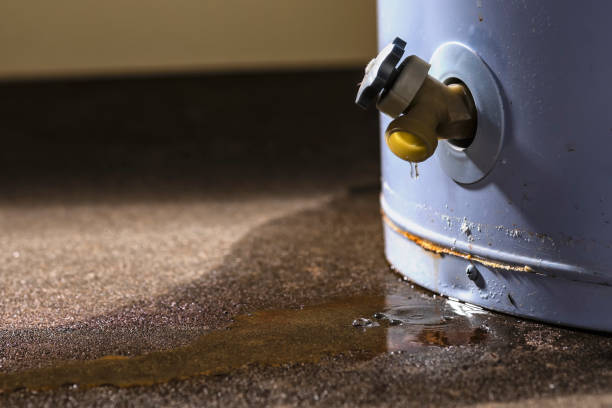 24/7 water damage repair in MN