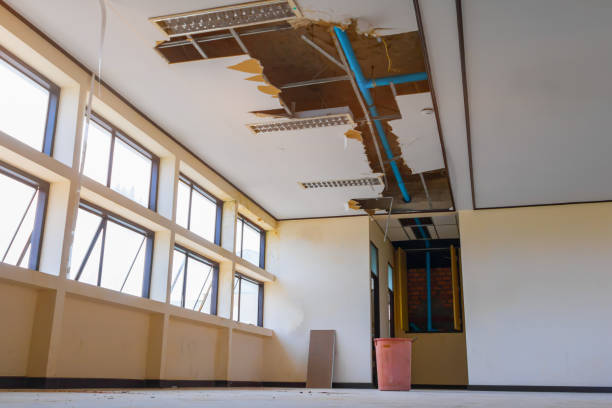Best Sewage cleanup and water damage restoration  in Redby, MN