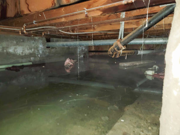 Best Commercial water damage restoration  in Redby, MN