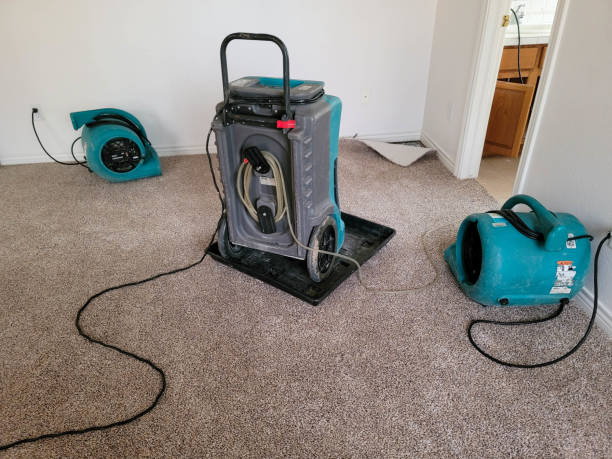 Best Mold removal after water damage  in Redby, MN