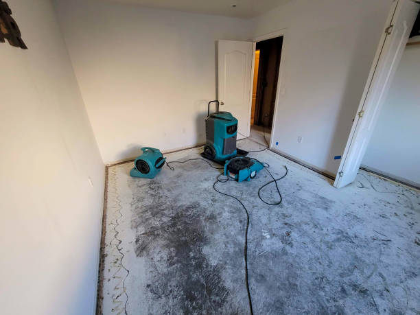  Redby, MN Water damage restoration Pros