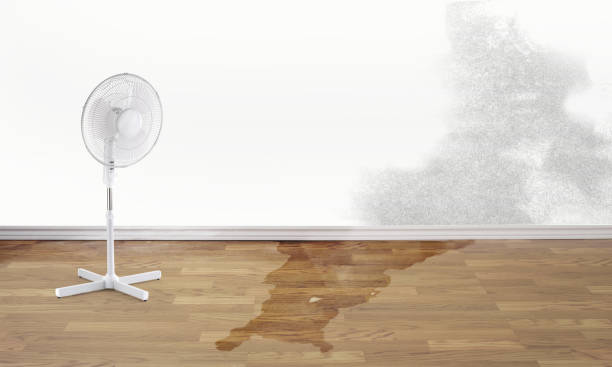 Best Emergency water damage restoration  in Redby, MN