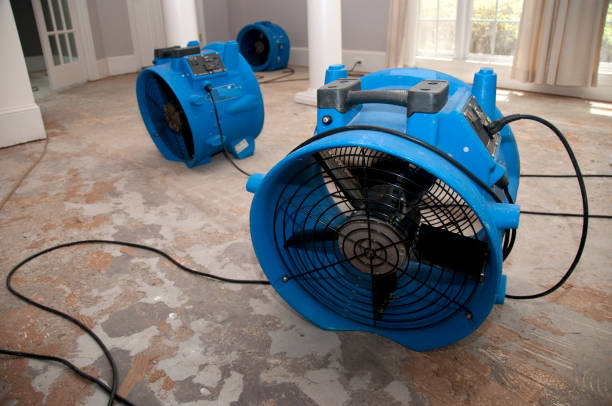 Best Local water damage restoration  in Redby, MN