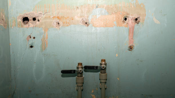 Best Water damage restoration mold remediation  in Redby, MN